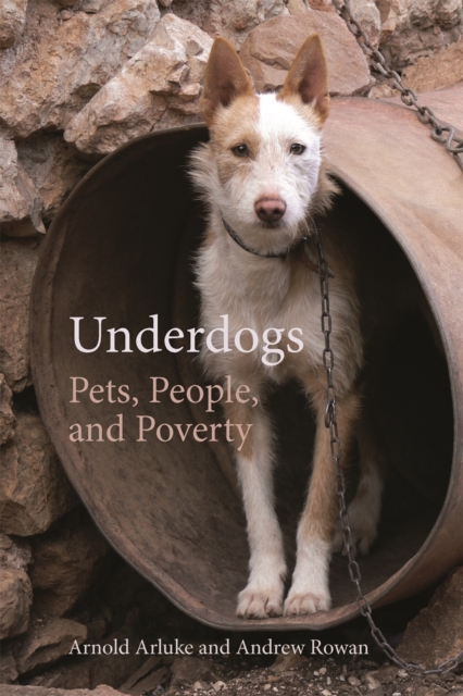 Underdogs : Pets, People, and Poverty