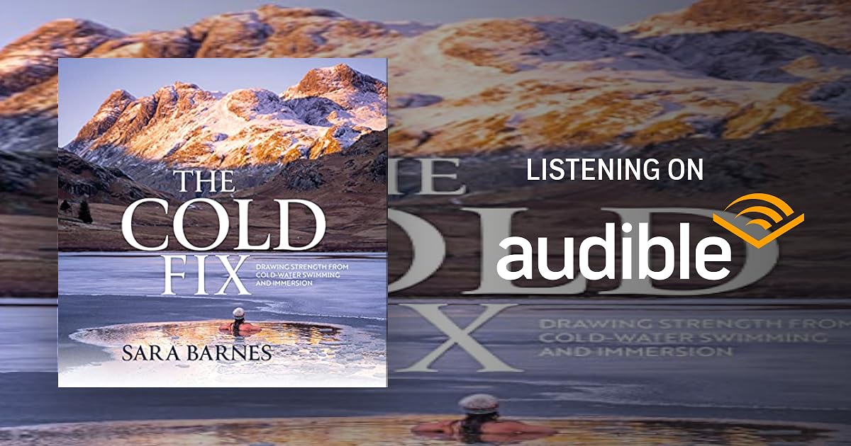 The Cold Fix book cover