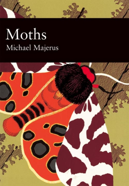 Moths : 90