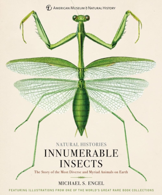 Innumerable Insects : The Story of the Most Diverse and Myriad Animals on Earth