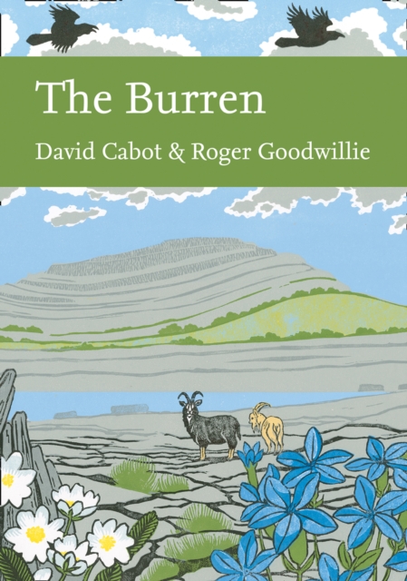 The Burren : 138