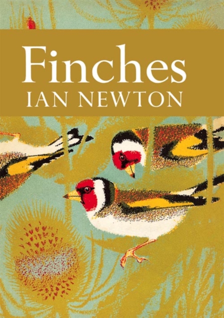 Finches : 55 book cover