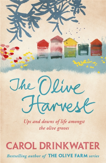 The Olive Harvest : A Memoir of Love, Old Trees, and Olive Oil book cover