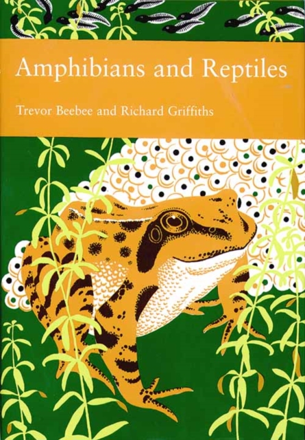Amphibians and Reptiles book cover