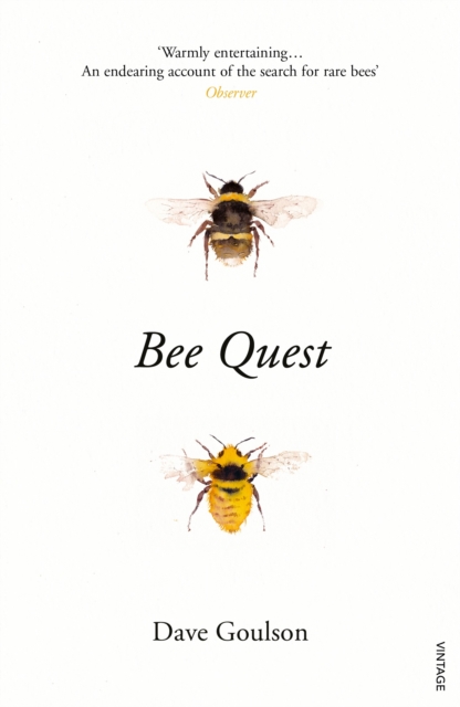 Bee Quest book cover