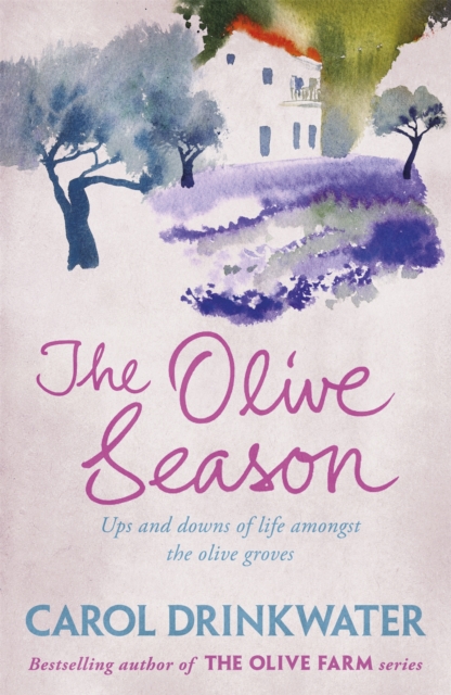 The Olive Season : By The Author of the Bestselling The Olive Farm book cover