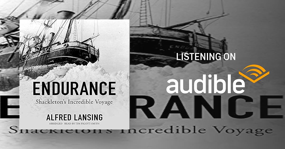 Endurance book cover