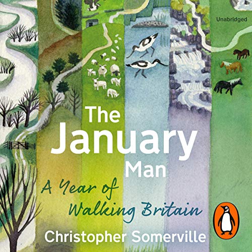 The January Man book cover