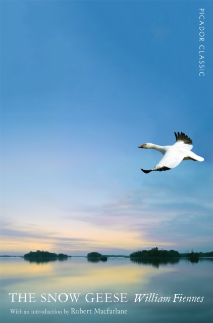 The Snow Geese book cover
