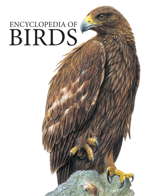 Birds book cover