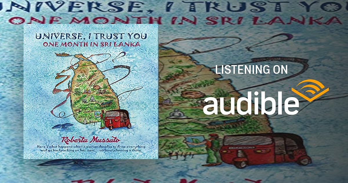 Universe I Trust You book cover