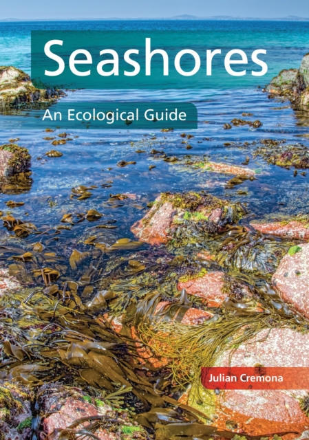 Seashores : An Ecological Guide