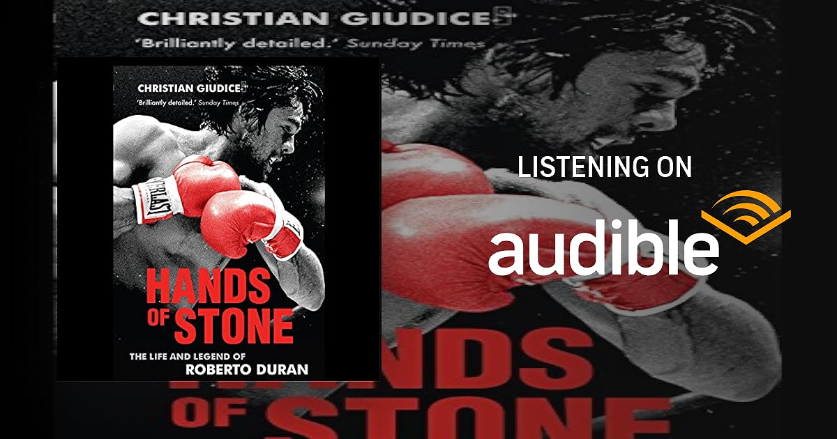 Hands of Stone book cover