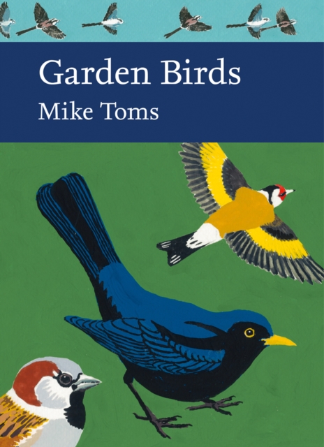 Garden Birds : 140