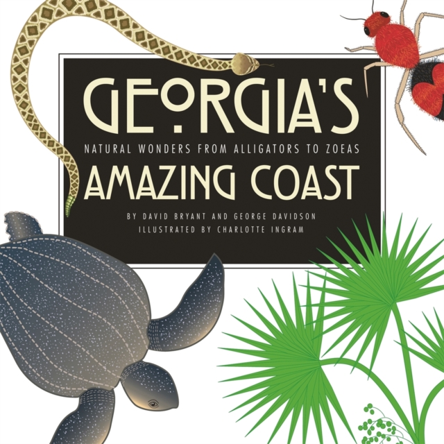 Georgia's Amazing Coast : Natural Wonders from Alligators to Zoeas