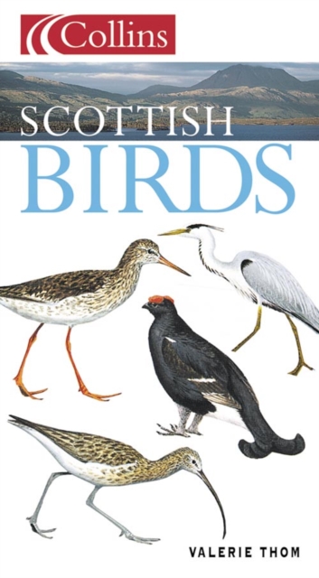 Scottish Birds book cover