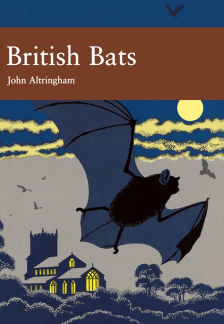 British Bats : 93 book cover