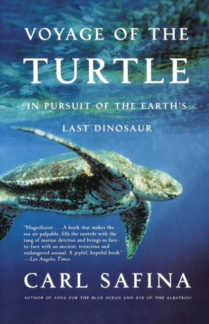 Voyage of the Turtle : In Pursuit of the Earth's Last Dinosaur