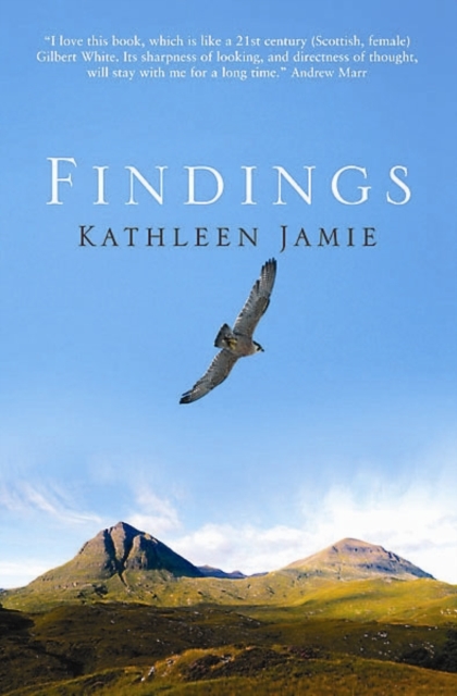Findings book cover