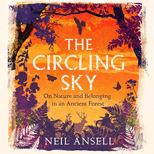 The Circling Sky book cover