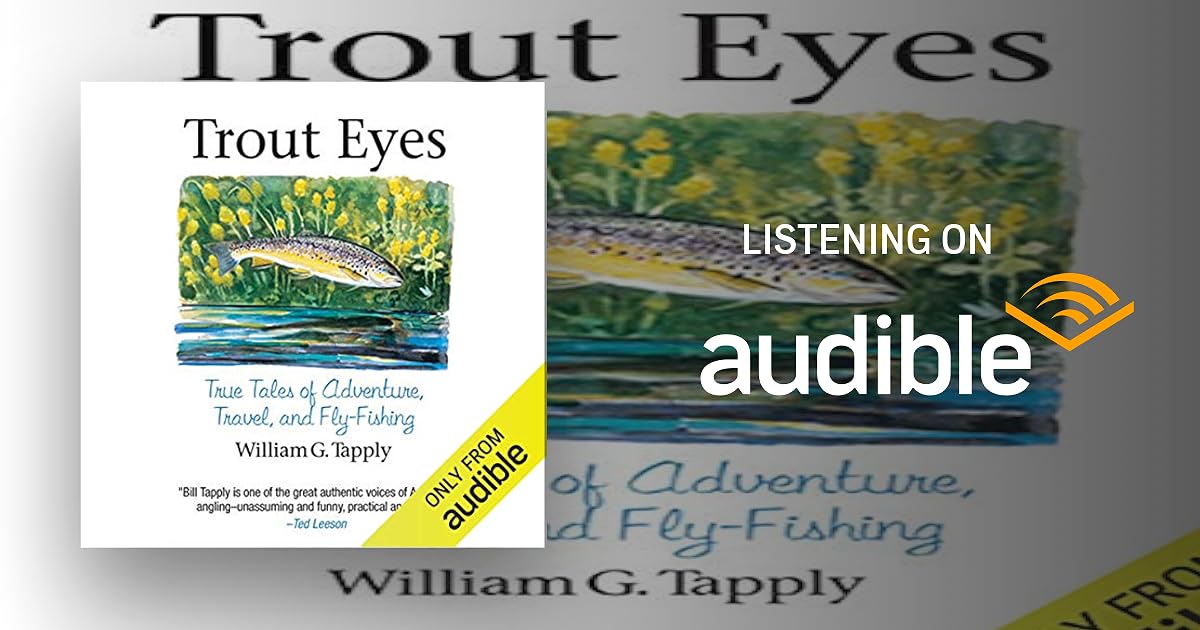Trout Eyes audiobook cover
