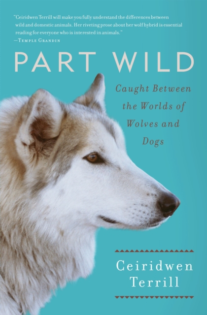 Part Wild : Caught Between the Worlds of Wolves and Dogs
