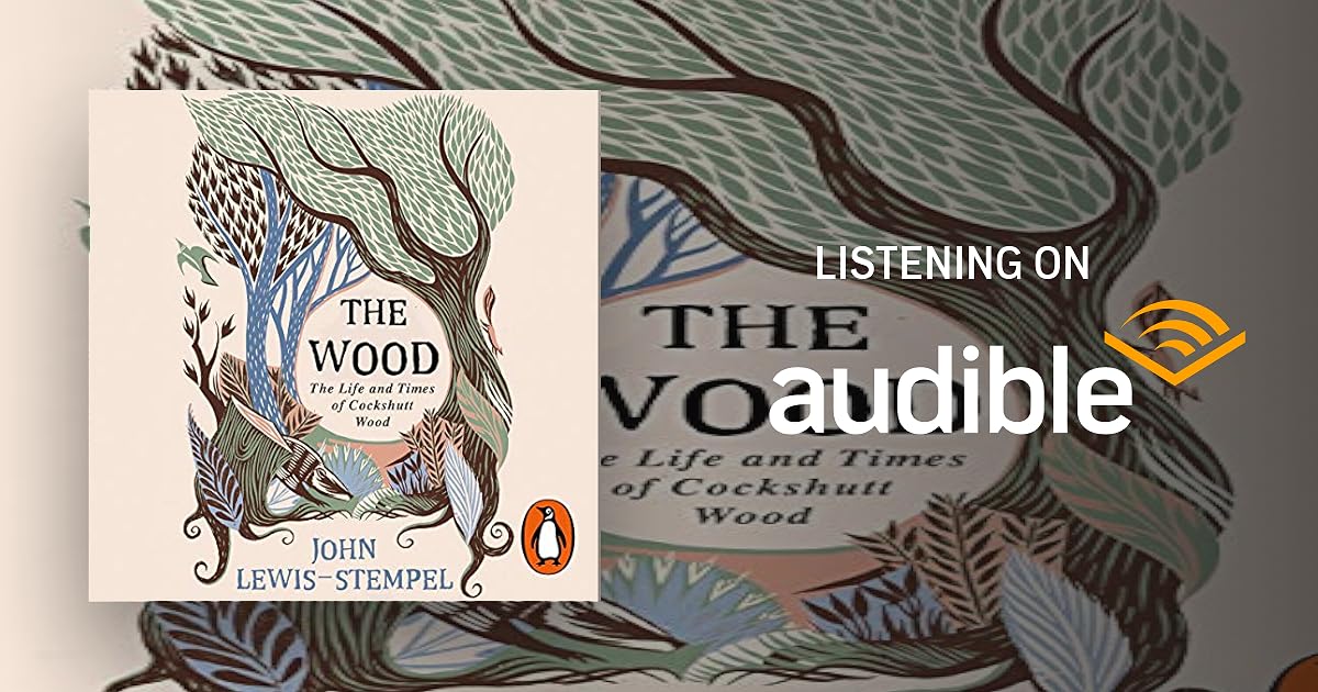 The Wood audiobook cover