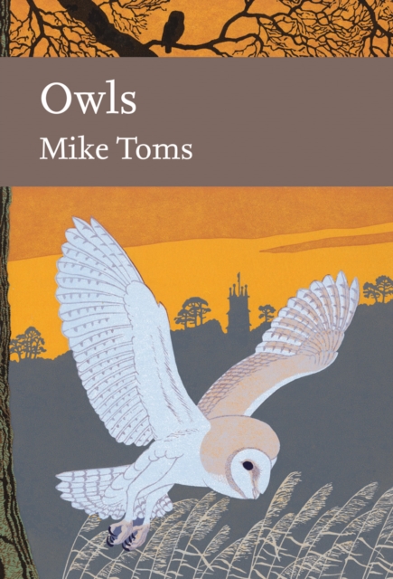 Owls : 125 book cover
