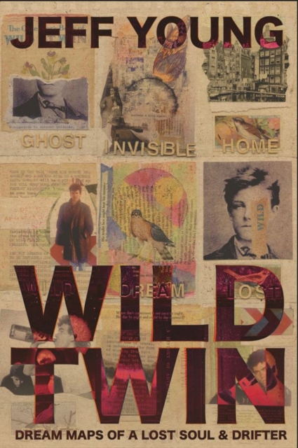 Wild Twin book cover