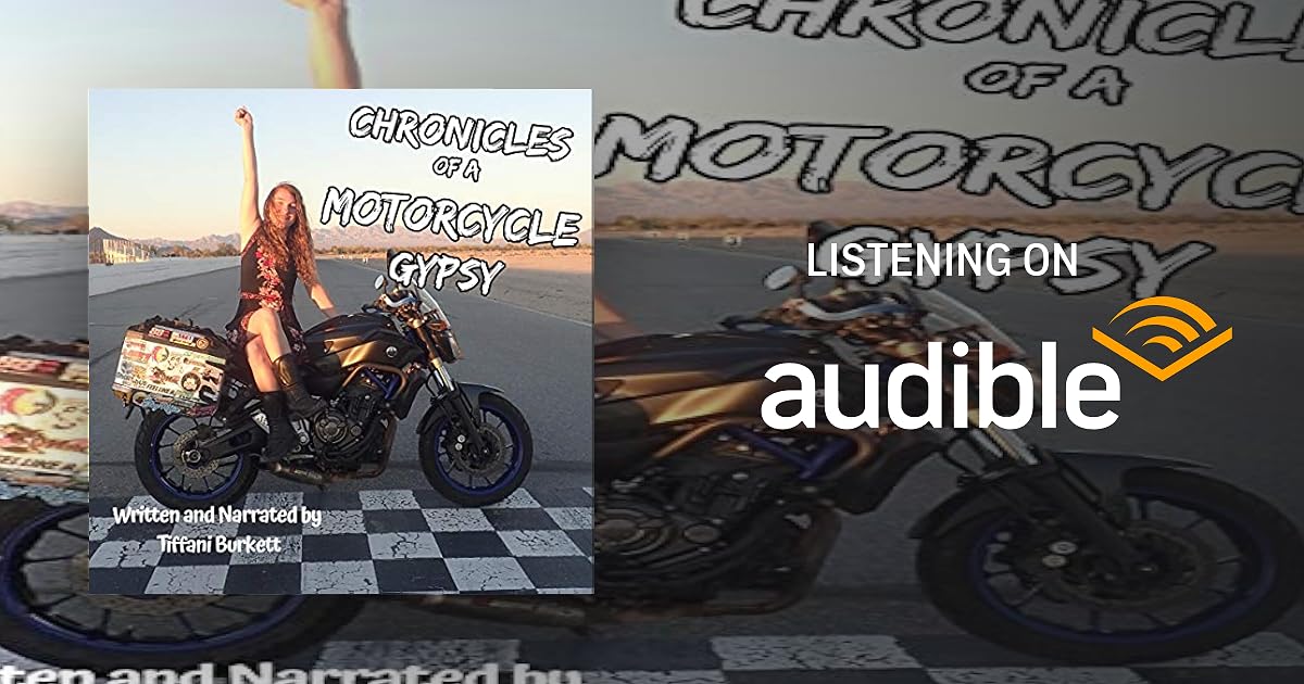 South of the Border audiobook cover