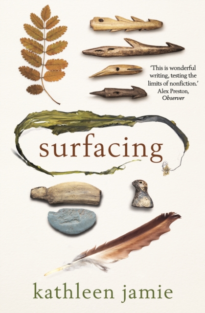 Surfacing book cover
