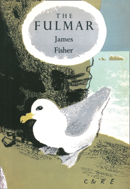 The Fulmar : 6
