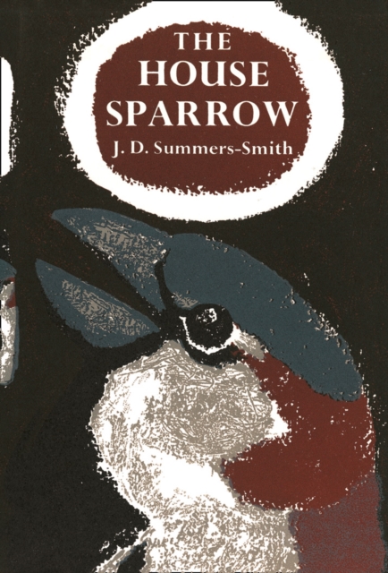 The House Sparrow : 19