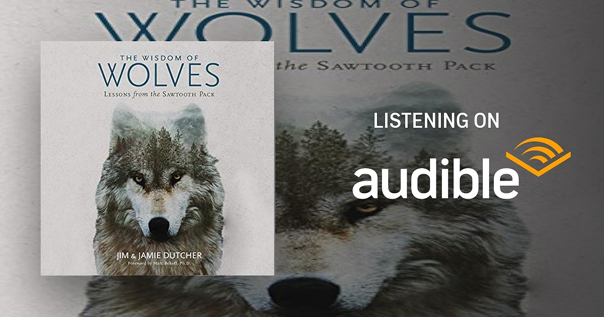 The Wisdom of Wolves book cover