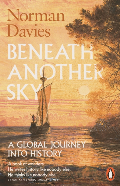 Beneath Another Sky : A Global Journey into History book cover