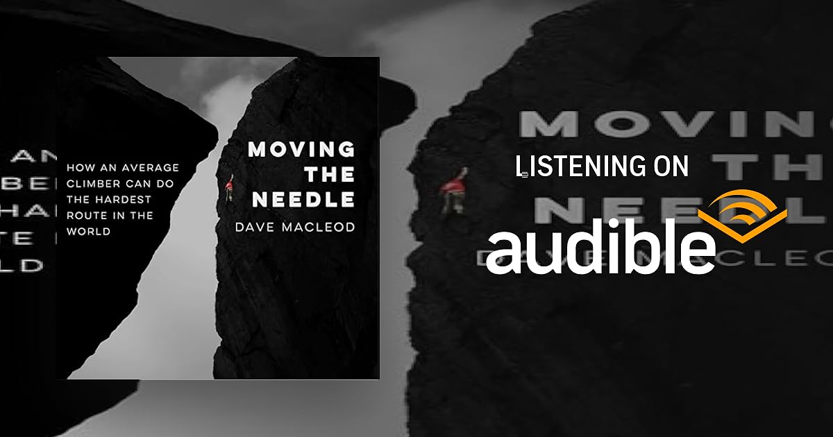 Moving the Needle book cover