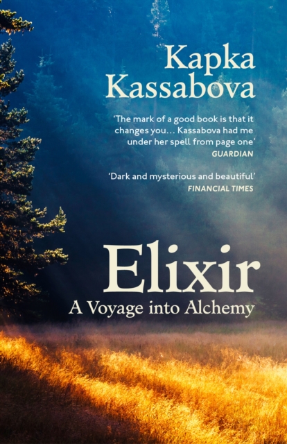 Elixir : A Voyage into Alchemy book cover