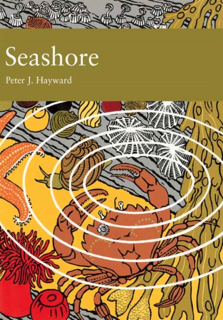 Seashore : 94