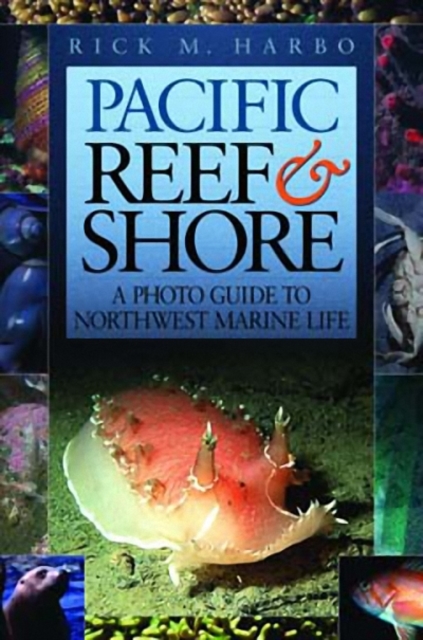 Pacific Reef & Shore Revised Second Edition : A Photo Guide to Northwest Marine LIfe