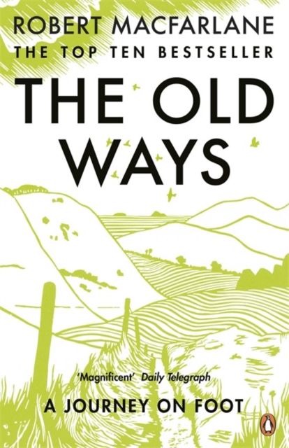 The Old Ways : A Journey on Foot book cover