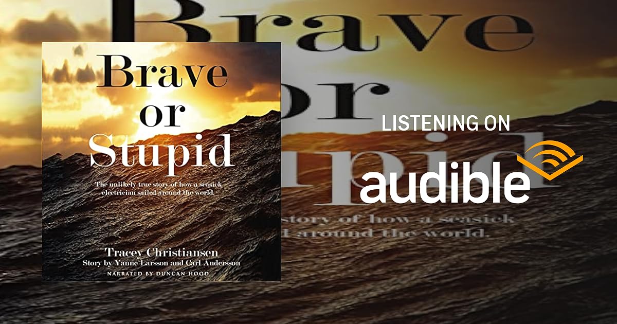 Brave or Stupid book cover