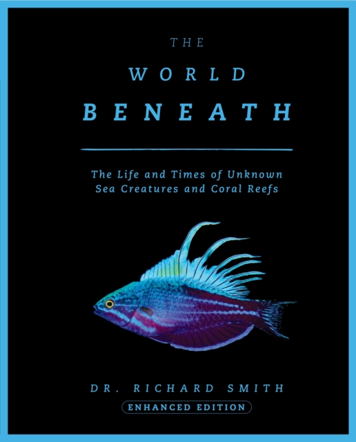 The World Beneath : The Life and Times of Unknown Sea Creatures and Coral Reefs