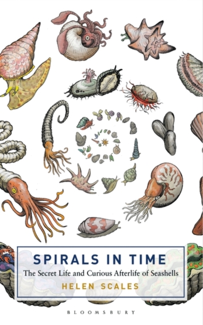 Spirals in Time : The Secret Life and Curious Afterlife of Seashells book cover