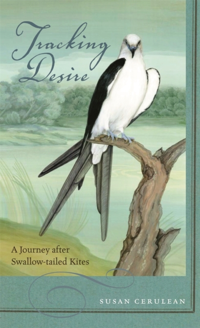 Tracking Desire : A Journey after Swallow-tailed Kites