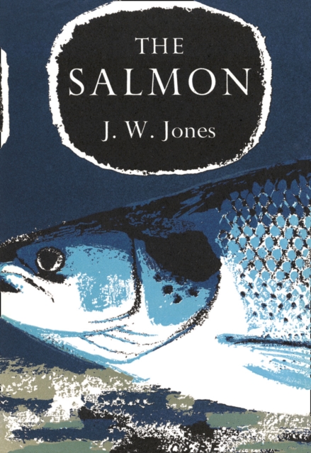 The Salmon