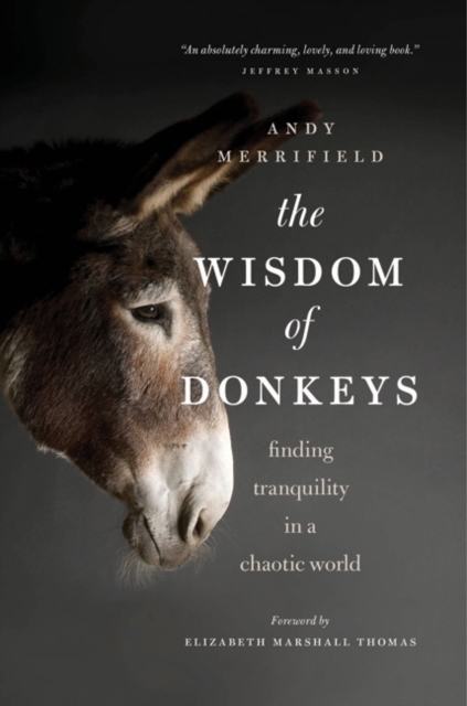 Wisdom of Donkeys : Finding Tranquility in a Chaotic World