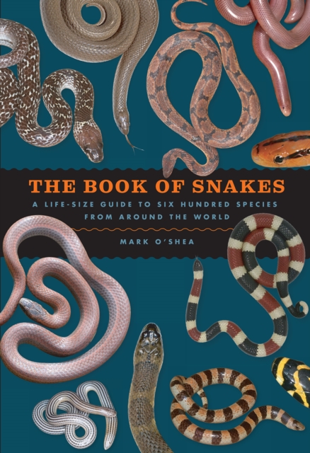 The Book of Snakes : A Life-Size Guide to Six Hundred Species from Around the World