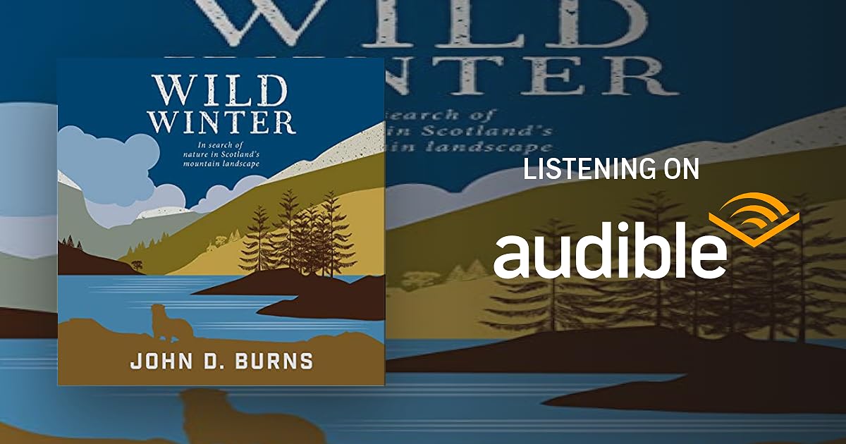 Wild Winter book cover