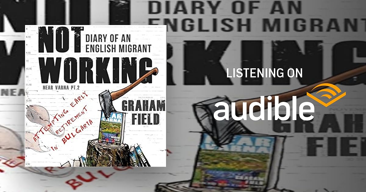 Not Working book cover