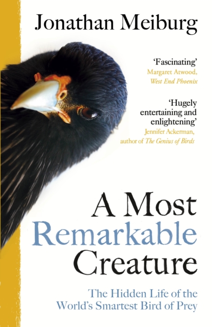 A Most Remarkable Creature : The Hidden Life of the World’s Smartest Bird of Prey
